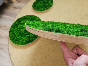 Predám machové obrazy Ø 30cm + Ø 40cm + Ø 50cm - 3