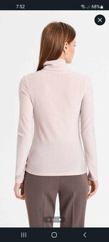 Bledoružový rolák - 3