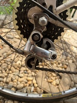 Dámsky bicykel - 3