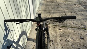 Rockrider Feel 900S Team Edition - 3