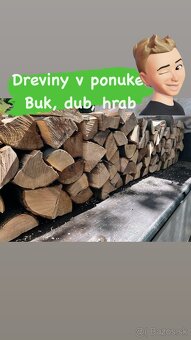 Palivové drevo klátiky - 3
