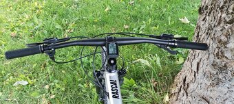 CTM Rascal 1.0 2023 - 3