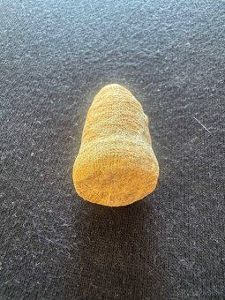 Skamenelina stonky praslicky - 3