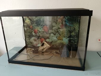 Akvarium - 3