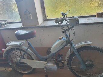 Moped stadion - 3