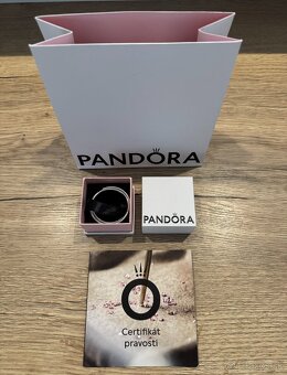 NÁUŠNICE PANDORA-KRUHY - 3