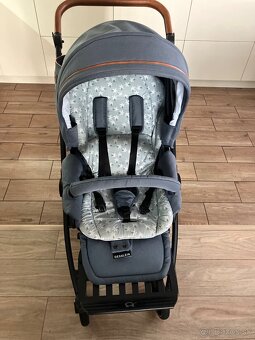 Predam sportovy kocik Gesslein - 3