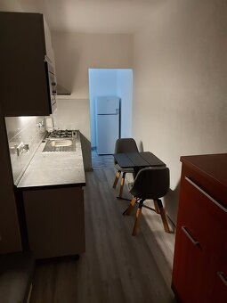 Prenajmem zrekonštruovanú a zariadenú garzónku - 3