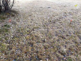 HALO reality - Predaj, rekreačný pozemok Nálepkovo, Zahájnic - 3