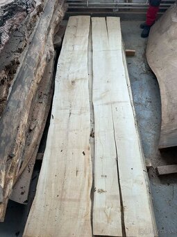 Vysušené javorové fošne, javor horský - 3