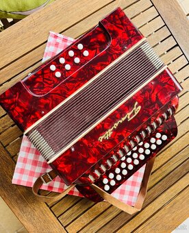 Harmonika FIROTTI - 3