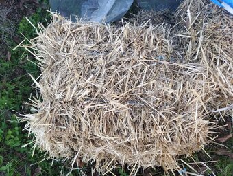 Pšenicná slama , male baliky. - 3