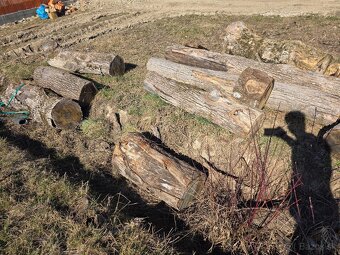 Palivove drevo. - 3