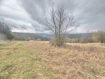 Predaj rekreačného pozemku s výhľadom Krásno nad Kysucou (MO - 3