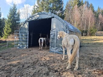 pristrešok pre kone 6x6m - 3