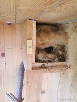 Drevená klietka - 3