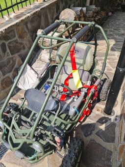 Buggy - 3