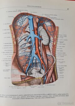Atlas anatomie člověka I a Ii - 3