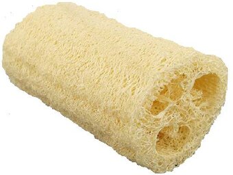 Lufa valcovitá (semená) - 3