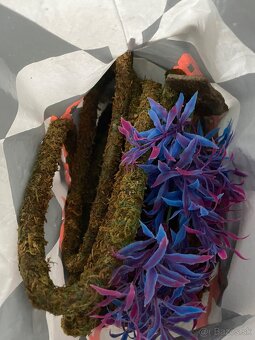 Predám terarium - 3