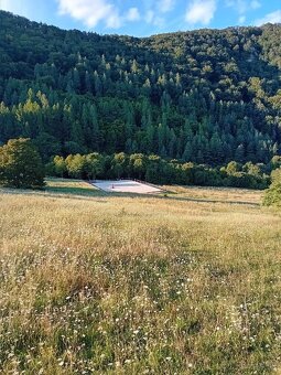 Ustajnenie ​🌿 Doprajte svojmu koňovi domov v srdci prírody - 3