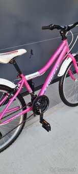 Bicykel Harry 24" pink - 3