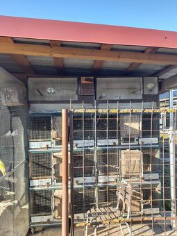 Predám klietky boxy - 3