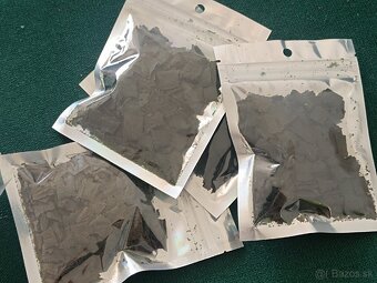 Modré krevety Blue Dream 10ks - 3