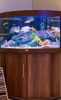 Predám akvarium Juwel Trigon 190l - 3