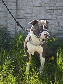 ARTHAS HLADA NOVY DOMOV - 3