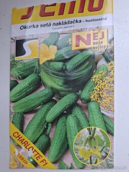 Predám priesady uhorky nakladačky - 3
