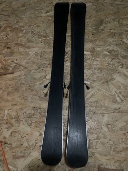Lyže 100cm - 3