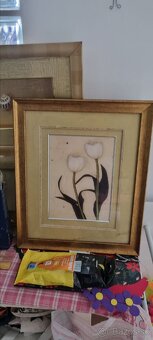 Obrazy - mušle, kvety - 3