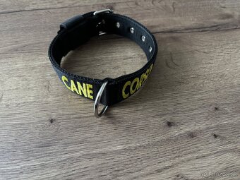 Obojok pre štena cane corso - 3