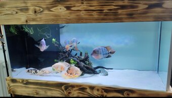 ‼️Akvarium 300l 120x50x50‼️ - 3