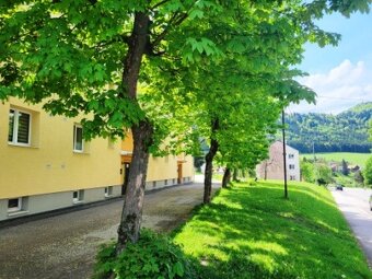 Výborný, veľký , slnečný byt v centre - nízky nájom - 3