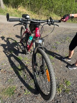 CTM Charizma 4.0 dámsky horský bicykel vel.L - 3