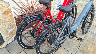 NOVÝ ELEKTROBICYKEL 790 - 3