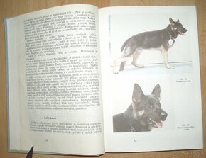 Pes a jeho výcvik - 3
