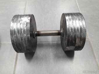 Jednorucky cinky 2x30 kg - 3