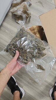 Predám konopné kvety CBD – do 0,2% THC - 3