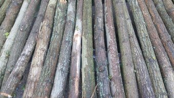 Agatove koly stlpy - 3