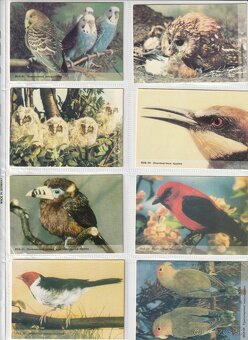 EUROOBALY NA KARTICKOVE KALENDARIKY - 3