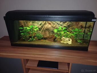 Predám akvárium - 3