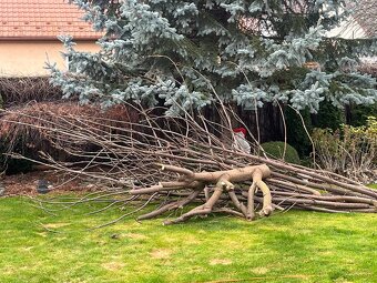 Darujem za odvoz - 3