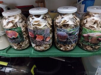 Sušené hríby smrekové, dubáky - 3