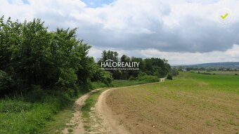 HALO reality - Predaj, orná pôda 3203 m2 Beluša - EXKLUZÍV - 3