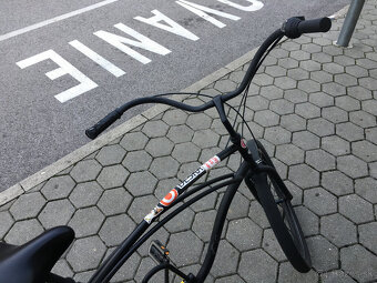 bicykel Electra - 3