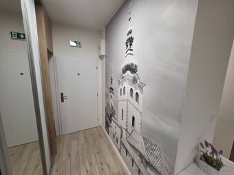 Prenajmem 1 izbový byt - 3