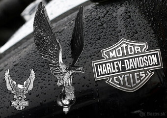 ZNAK ORLA HARLEY DAVIDSON Chróm - 3
